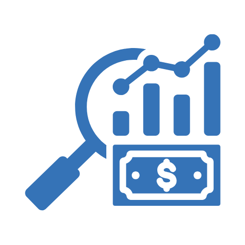 Financial Analysis